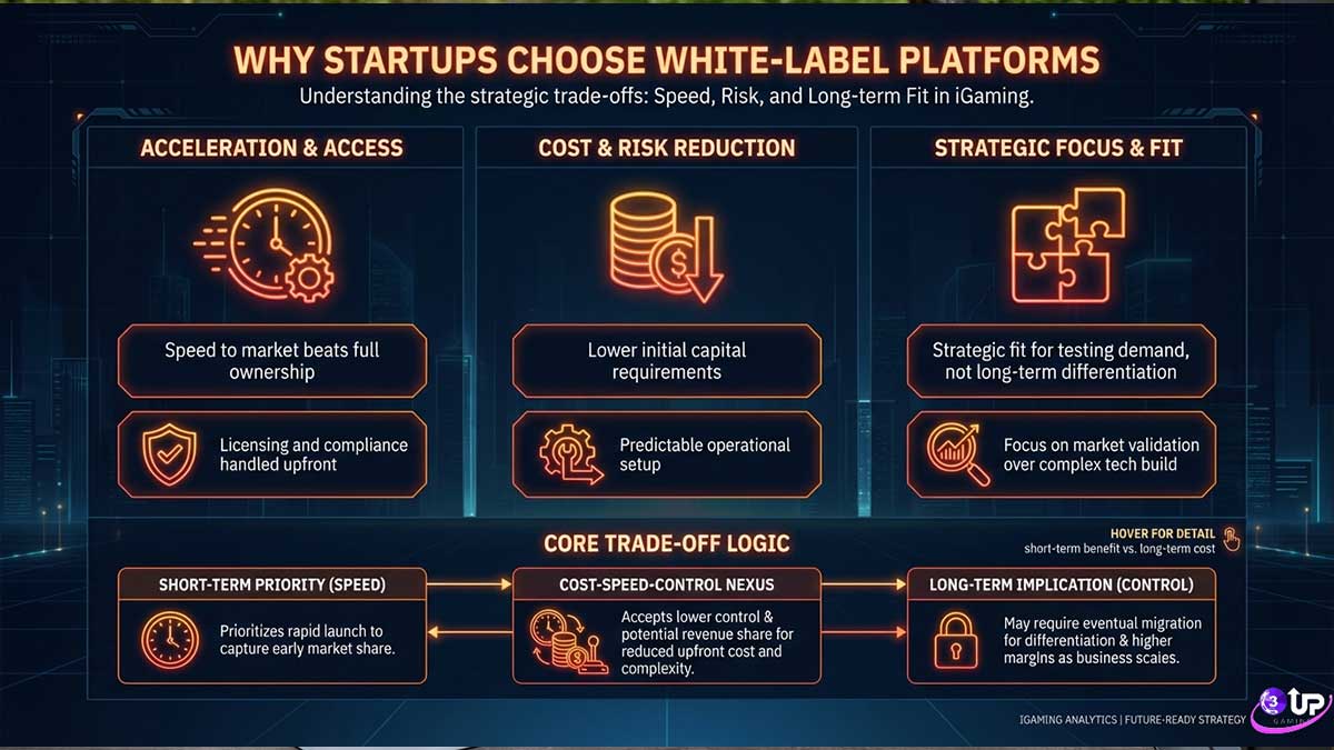 Proven White-Label Casino Suppliers for iGaming Startups and Operators