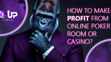 How to Make Profit from Online Poker Room or Casino? Common Ways